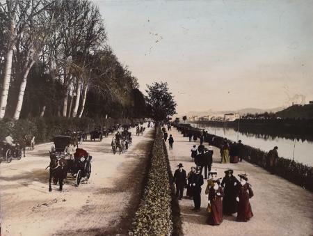 Quadro di  Anonimo Le Cascine - Firenze - stampa tavola 